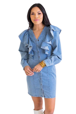 Denim Ruffle Button Dress